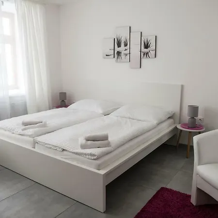 Rezidence Cerny Medved Guest house