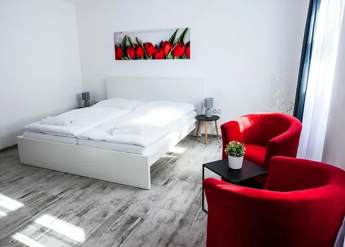 Pensionat Rezidence Cerny Medved 3*